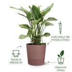 greensense aqua care rond 35cm brun argile